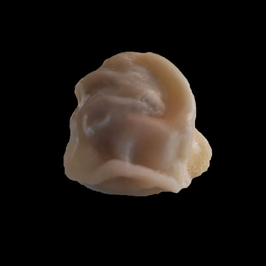 Pork & Chives dumpling 6pcs